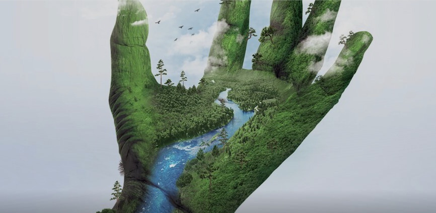 fot. Fundacja WWF