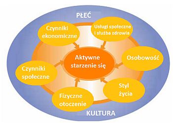 edukacja przez życie