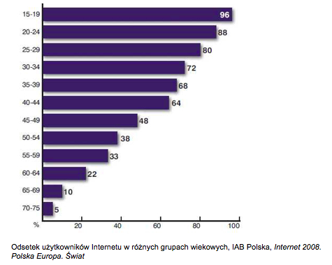 korzystanie z internetu 2008