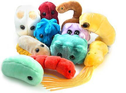 www.giantmicrobes.pl